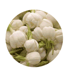 茉莉鲜奶拿铁